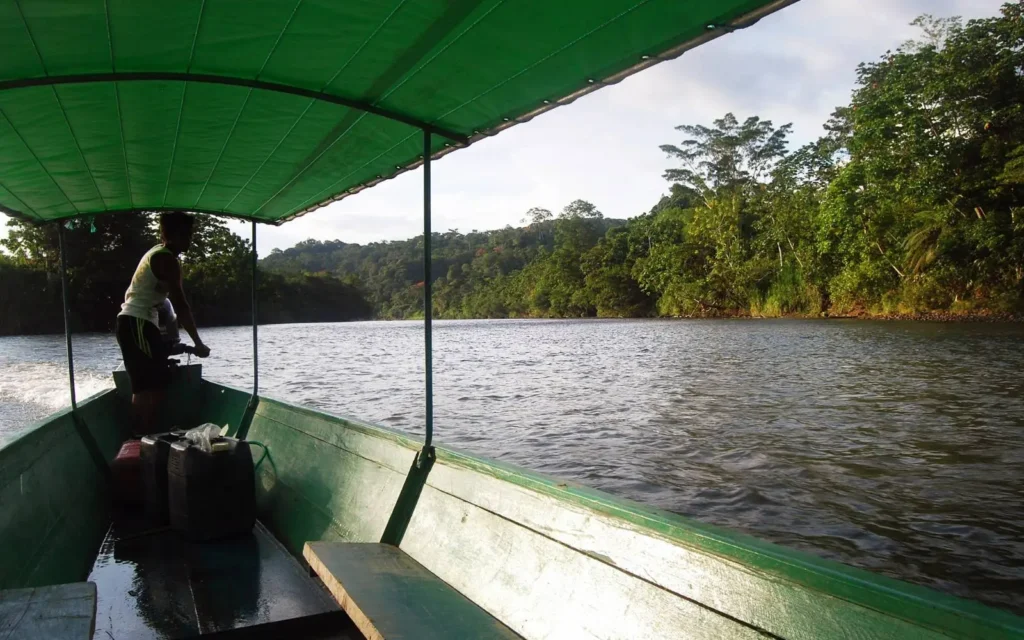 Explore the Enchanting Mamirauá Sustainable Development Reserve